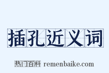 插孔近义词是什么意思的图片